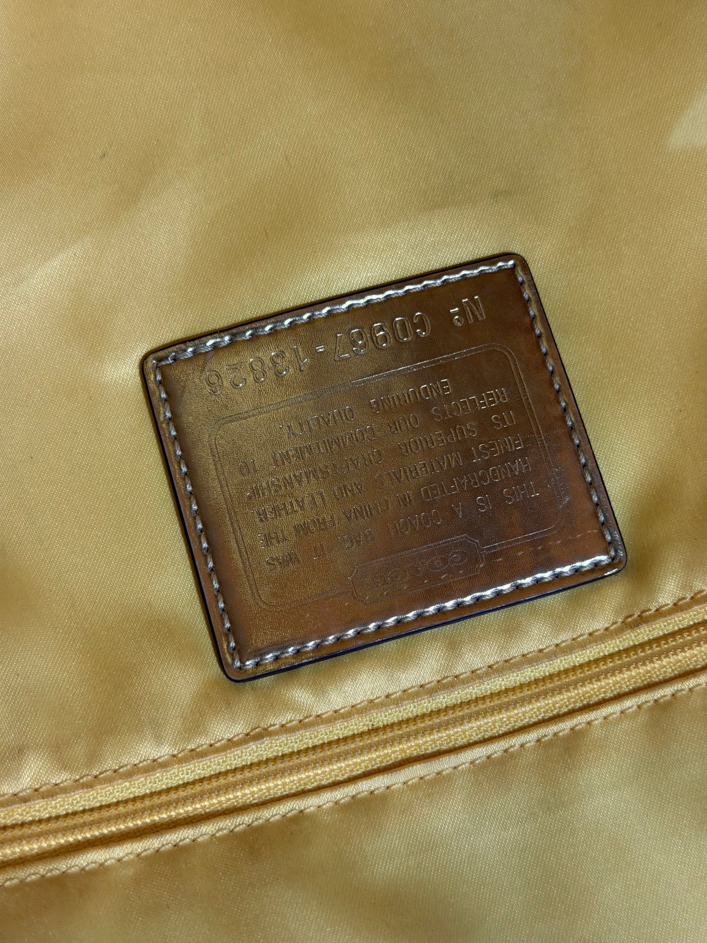 Coach Poppy Op Art Glam Tote Bag (13826)